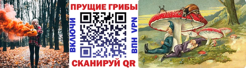 Псилоцибиновые грибы Psilocybine cubensis  наркотики  MEGA зеркало  Гуково 