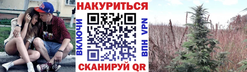 где найти наркотики Гуково Бошки Шишки марихуана